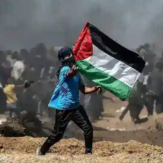 ZMS 52 "دفعة زياد انور"🇵🇸🇪🇬