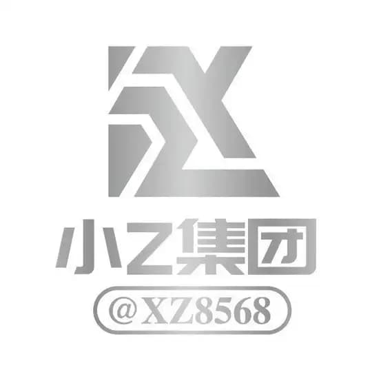 小Z代收集团