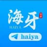 海牙团队官方频道