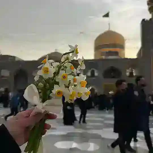 ضوءُ | زهَر .
