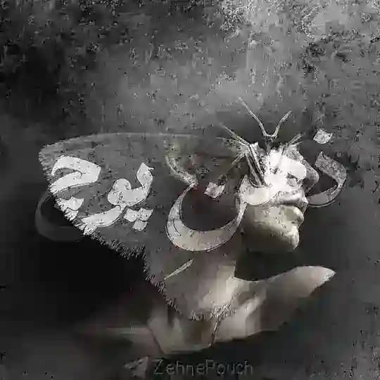 ذِه‍‌ـ‌،نِ پــوچْ؛