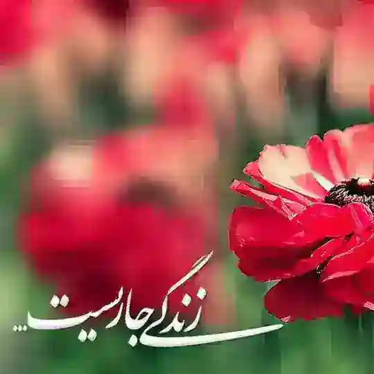 🌸 زندگے جاریست 🌸