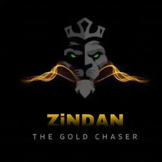 ZiNDAN The Gold Chaser