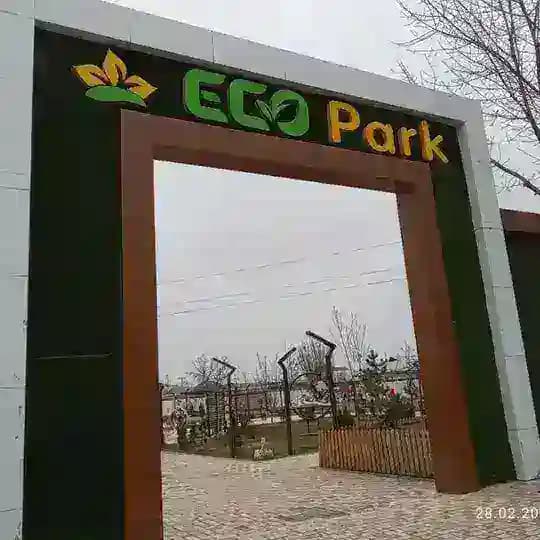 Ziyo🕊️