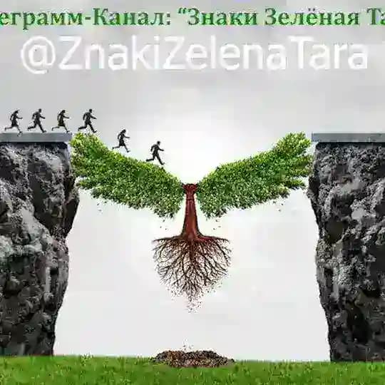 Знаки. Зелёная Тара
