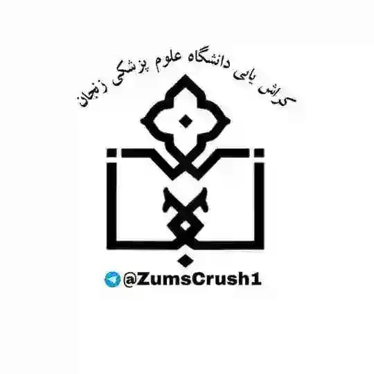 Zums crush | کراش دانشگاه علوم پزشکی زنجان