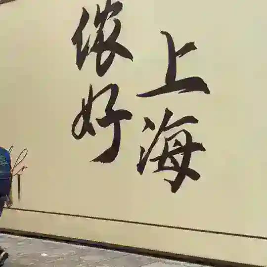 学生会|上海探店探花