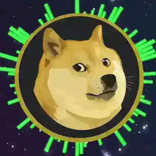 狗狗币买卖记录-韭菜君🍀
