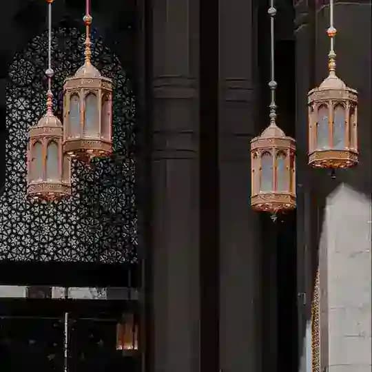 { فصبر جميل } Profile