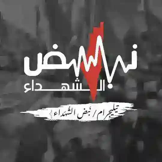 نَبض الشُهَداء..𓂆 💔