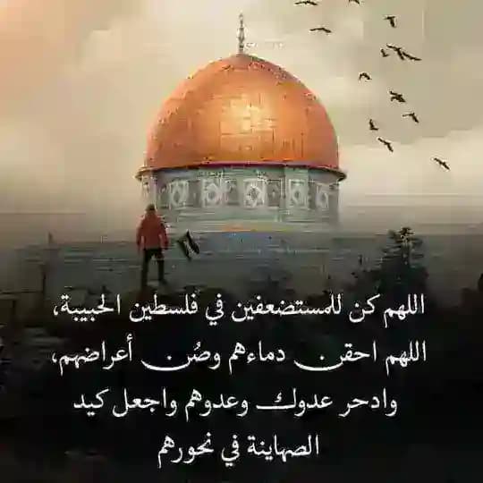 د. عبد الرحمن زكي حمد (أبو عبد الله)