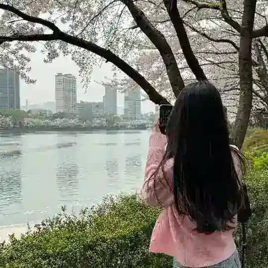 South Korea ✨