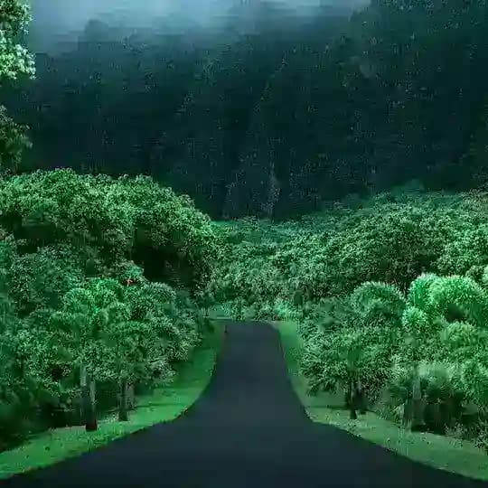 አቡ ቱራብ