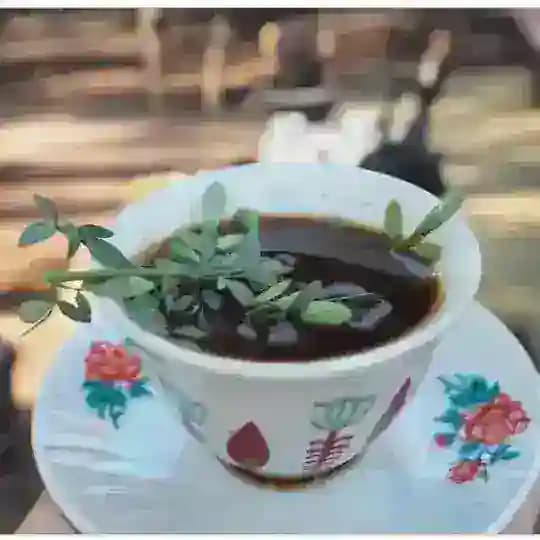ዳማካሴ ቲዩብ DAMAKASIE TUBE