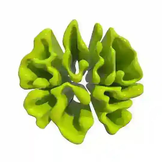 ACIDICE