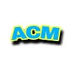 ACM GTA SA