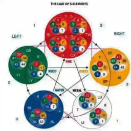 All India Acupuncture Therapist Profile