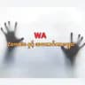 WA Zombie နှင့် အကောင်ကားများ