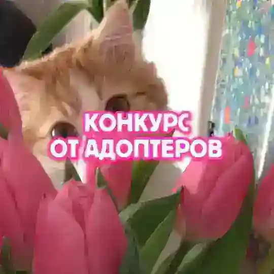 🌷8 𝗠𝗔𝗥𝗖𝗛