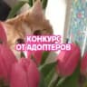 🌷8 𝗠𝗔𝗥𝗖𝗛
