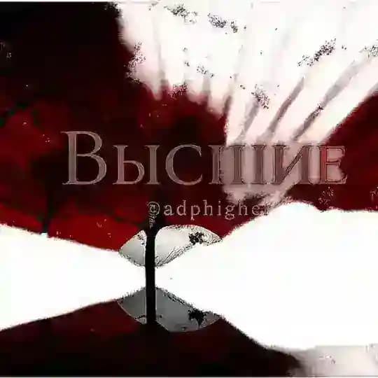 Переходник высших