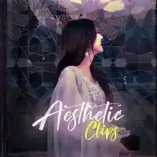 Aesthetic Clips 💗 Profile