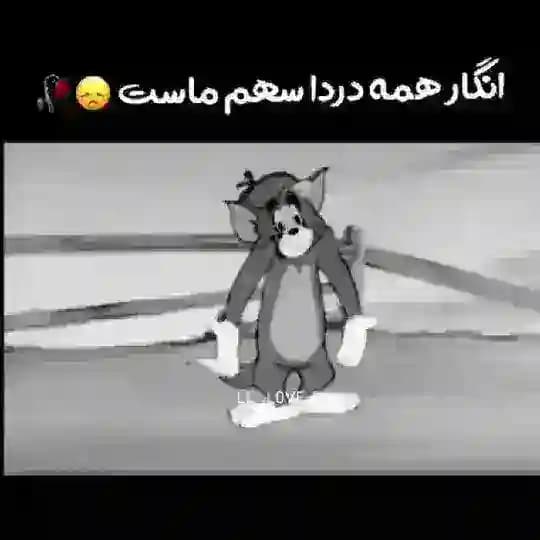 😎🖕کلیپ و استوری های خفن🖕😎