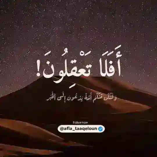 أَفَلَا تَعْقِلُونَ! Profile