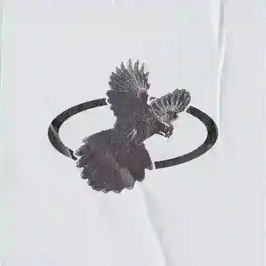 АГАШИ
