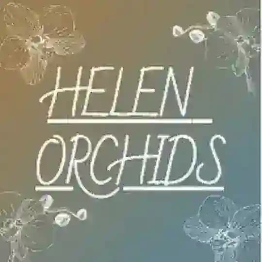 HELEN ORCHID'S 🧚‍♀