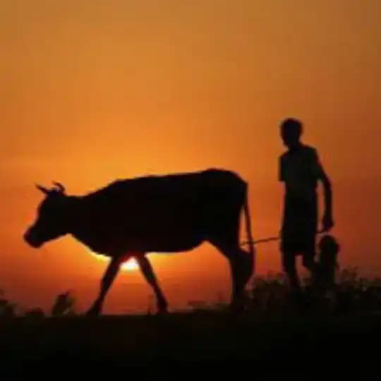 Agri Ulagam 🦋