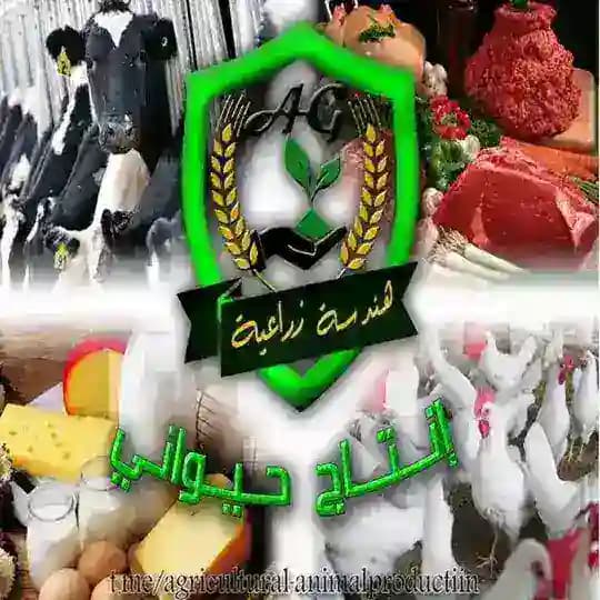 إنتاج حيواني