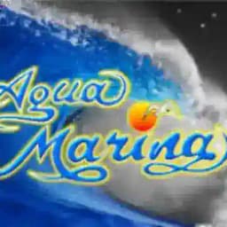 AGUA MARINA PERU Profile