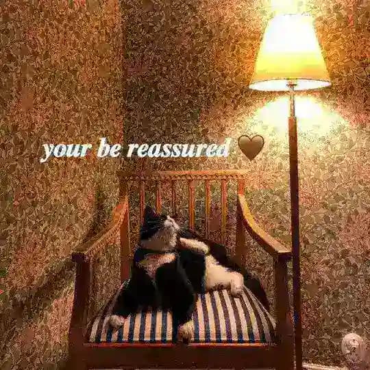 𝒚𝒐𝒖𝒓 𝒃𝒆 𝒓𝒆𝒂𝒔𝒔𝒖𝒓𝒆𝒅 🤎