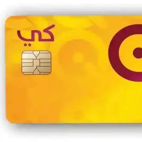 اخبار رواتب الرعايه ولمعين