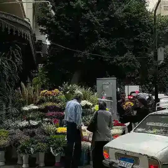 ( ›