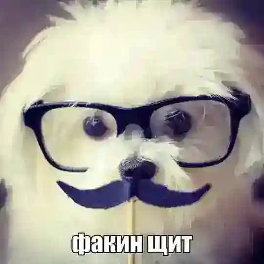 аимчик
