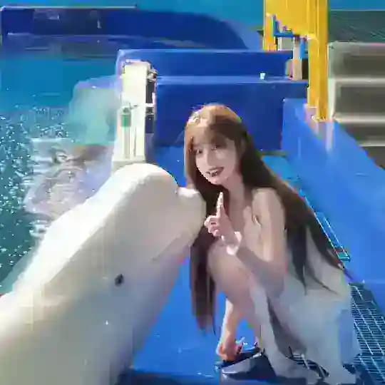 天空之城【阿玖】✨金边天空