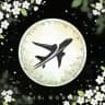 AirGuard | Шахеди | Ракети | Моніторинг
