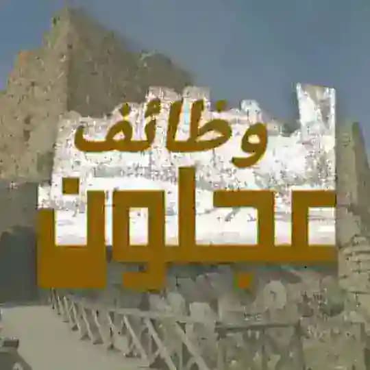 وظائف عجلون
