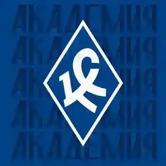 Академия «Крылья Советов»
