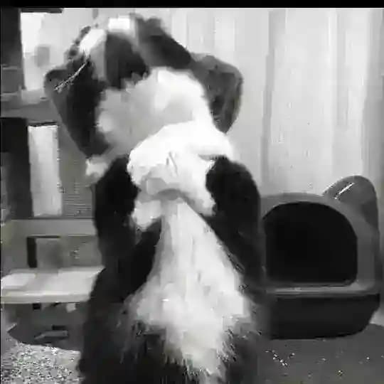 Тос’ка