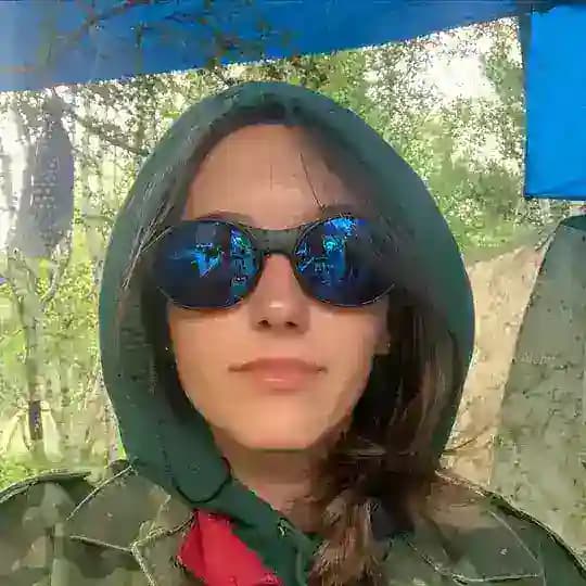 акулий улей
