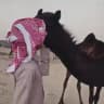 هوآجيـَـس ₉₁₂ . .