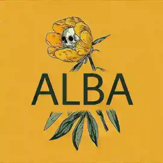 ✨Alba accessory✨