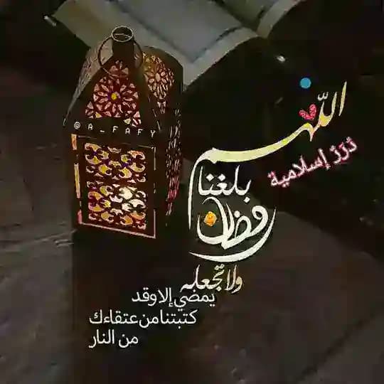 #دُرَرٌ_إســـــــــلاَميَّة™
