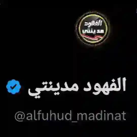 الفهود مدينتي