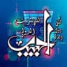 الحبيب للإنترنت الدولي(vpn)