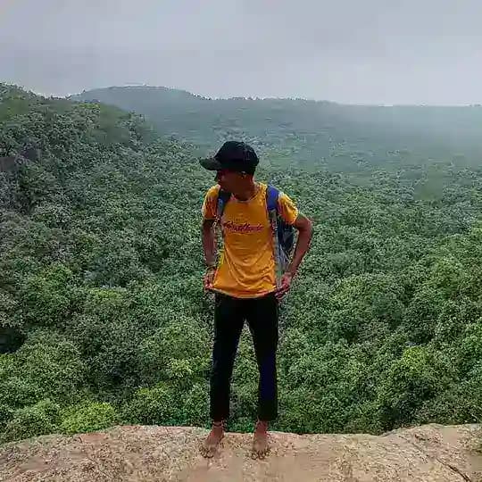 All Editor