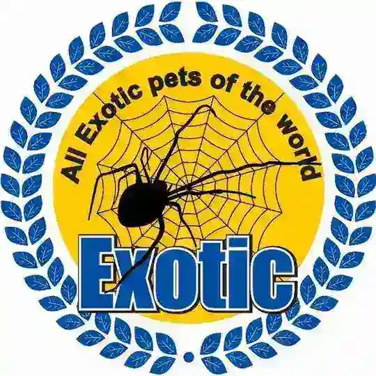 All.Exotic.Pets.Of.The.World